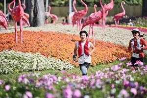 BIB: 
                            <button type="button" onclick="openModal(27793488)" class="btn btn-primary btn-sm float-right btn-popup" data-toggle="modal" data-target=".modal-high-quality">
                        <i class="fas fa-shopping-cart"></i> Add to Cart
                    </button>
                                            <button type="button" onclick="isThisMe(27793488, true)" class="btn btn-success btn-sm float-right btn-popup btn-isme hidden" data-toggle="tooltip" data-placement="bottom" title="นี่คือรูปของคุณใช่ไหม คลิกที่นี่เพื่อเอาเข้าอัลบั้ม">
                        <i class="fas fa-plus"></i> Add to album
                    </button>
                    <button type="button" onclick="isThisMe(27793488, false)" class="btn btn-warning btn-sm float-right btn-popup btn-isnotme hidden">
                        <i class="fas fa-ban"></i> Remove from album
                    </button>